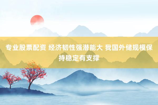 专业股票配资 经济韧性强潜能大 我国外储规模保持稳定有支撑