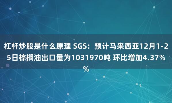 杠杆炒股是什么原理 SGS：预计马来西亚12月1-25日棕榈油出口量为1031970吨 环比增加4.37%