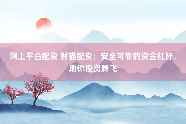 网上平台配资 财猫配资：安全可靠的资金杠杆，助你投资腾飞