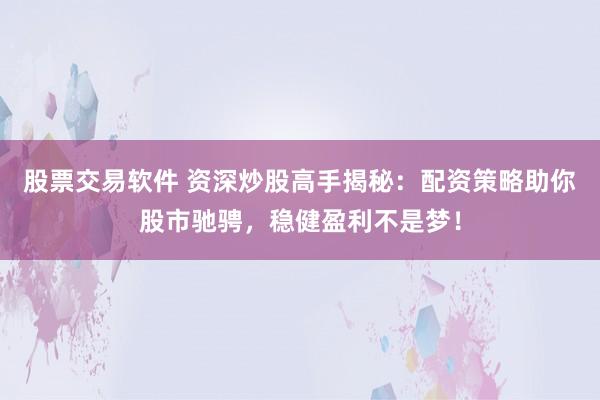 股票交易软件 资深炒股高手揭秘：配资策略助你股市驰骋，稳健盈利不是梦！
