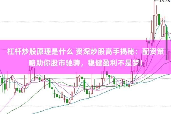 杠杆炒股原理是什么 资深炒股高手揭秘：配资策略助你股市驰骋，稳健盈利不是梦！