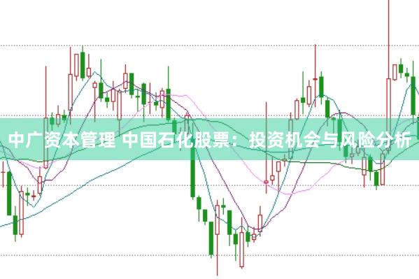 中广资本管理 中国石化股票：投资机会与风险分析