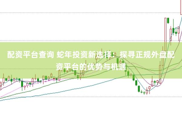 配资平台查询 蛇年投资新选择：探寻正规外盘配资平台的优势与机遇