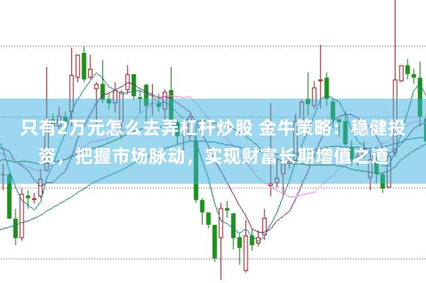只有2万元怎么去弄杠杆炒股 金牛策略：稳健投资，把握市场脉动，实现财富长期增值之道