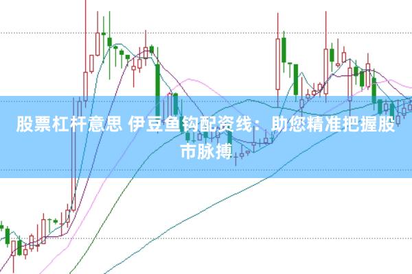 股票杠杆意思 伊豆鱼钩配资线：助您精准把握股市脉搏