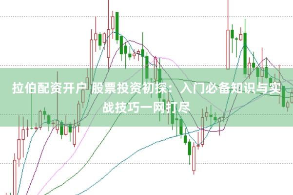 拉伯配资开户 股票投资初探：入门必备知识与实战技巧一网打尽
