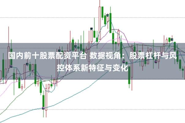 国内前十股票配资平台 数据视角：股票杠杆与风控体系新特征与变化