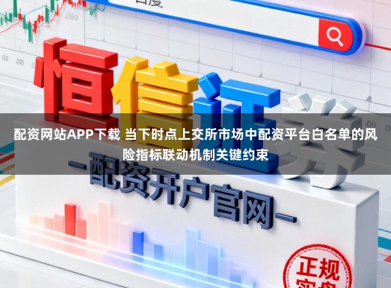 配资网站APP下载 当下时点上交所市场中配资平台白名单的风险指标联动机制关键约束