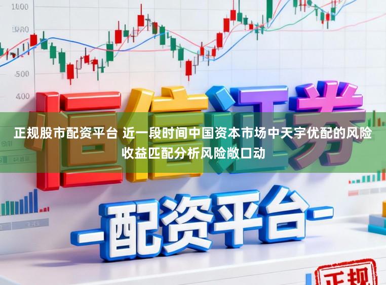 正规股市配资平台 近一段时间中国资本市场中天宇优配的风险收益匹配分析风险敞口动